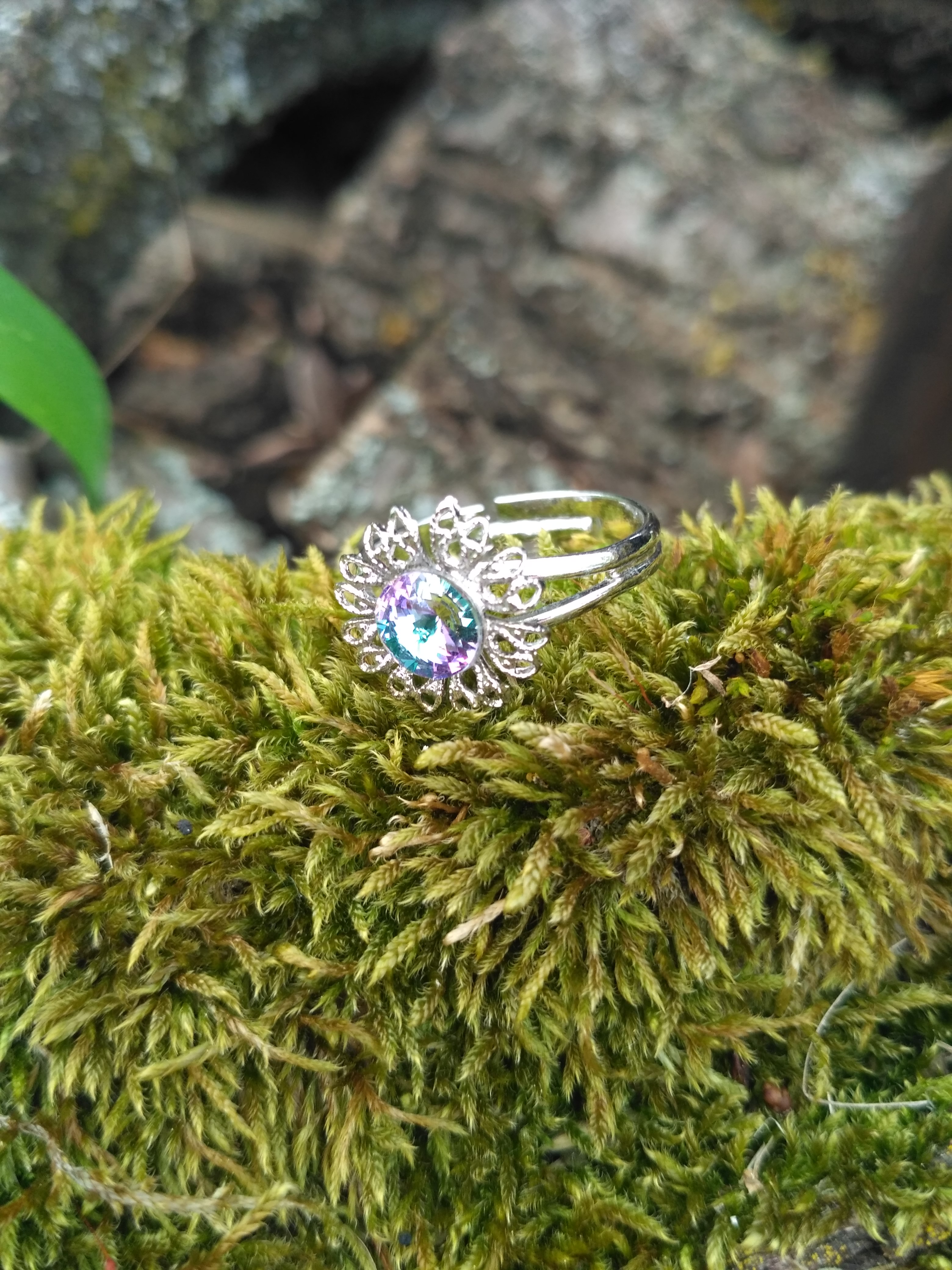 Chudobka modrofialová